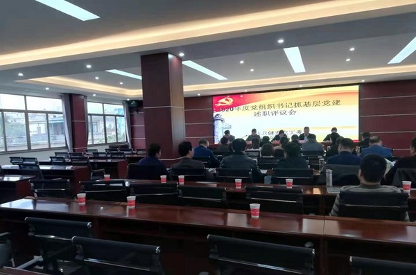 2222（定）旌德县卫健委召开2020年度党组织书记抓基层党建述职评议会(3.18)(1)1.jpg