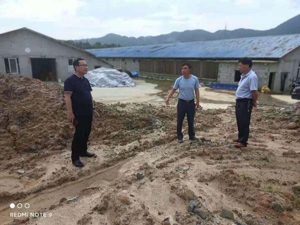 在佳兴畜禽收储点建设现场.jpg
