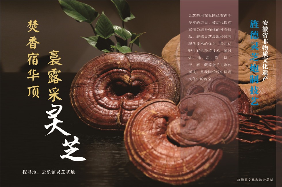 微信图片_202108251658111.jpg