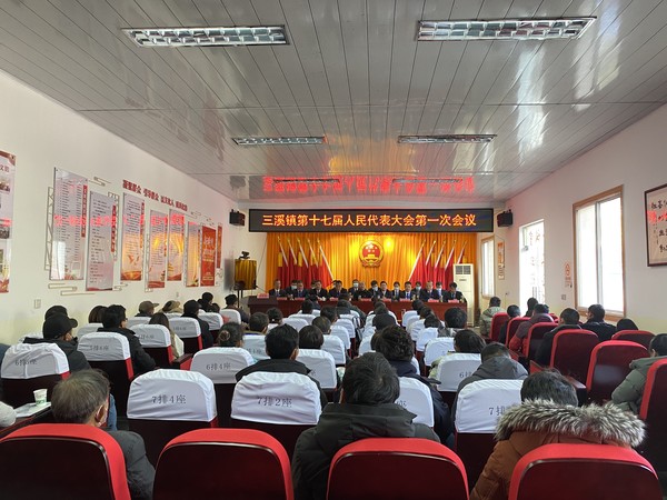 三溪镇第十七届人民代表大会第一次会议胜利召开.jpg